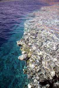 Red Sea Reef