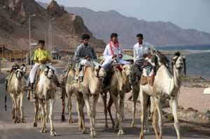 Dahab Traffic