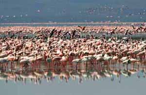 A lake of Colour