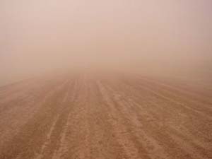 Sand Storm