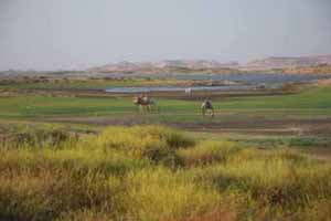 Nile River Valley