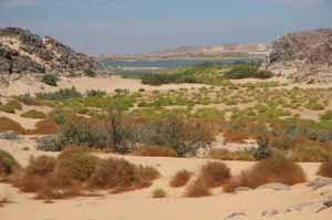 Wadi Halfa
