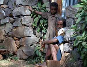 Father and Child with Gun