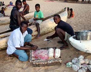 Preparing for a Night' Fishing