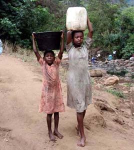 Collecting water