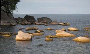 Cool Waters