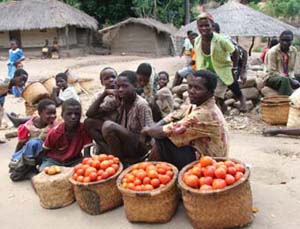 Village Stall