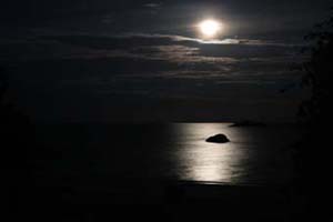 Moon Light 