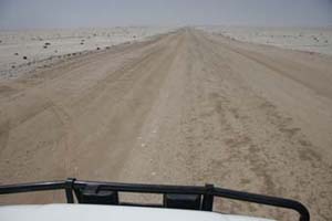 Skeleton Coast