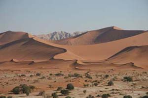 Towering Dunes