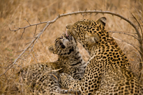 Botswana