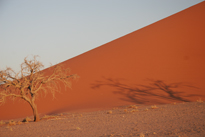 Namibia
