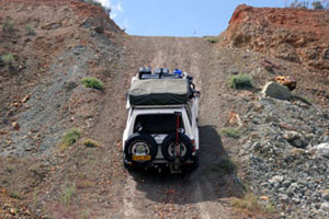 Trusting the Cruiser