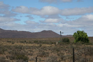 Karoo Windmill
