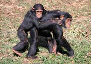 Hitching a Ride