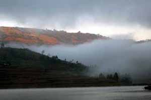 Morning Mist