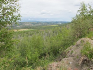 IMG_0384