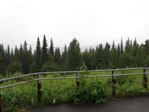 IMG_0595