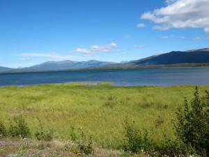 IMG_0822