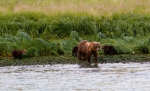 web_IMG_6907