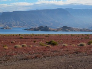 IMG_3898