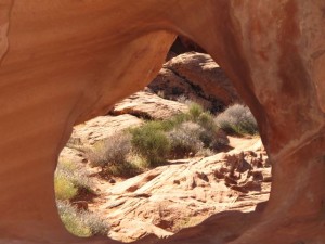 IMG_3915