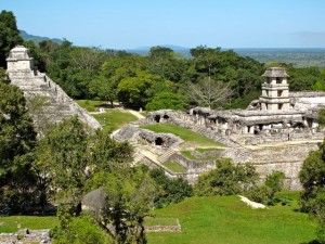 IMG_5534