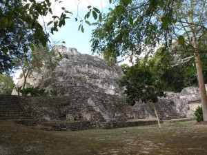 IMG_5547