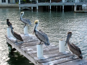 IMG_5749