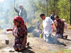 IMG_6175